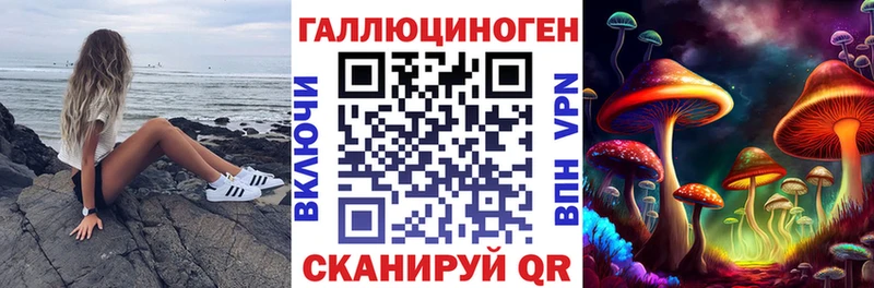 kraken как войти  Адыгейск  Псилоцибиновые грибы Psilocybe 