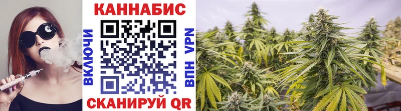 Канабис план Адыгейск